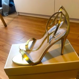 Steve Madden classy high heels.